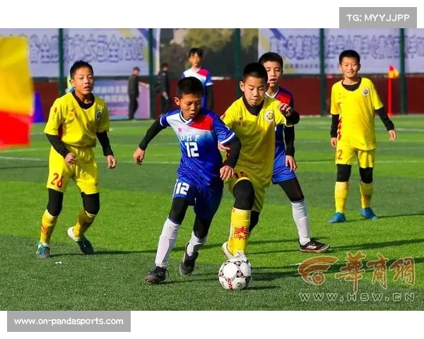 青少年足球普及计划推进，基层参与度持续提升